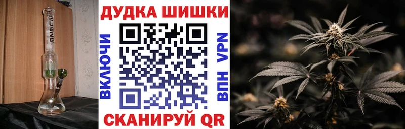 Купить где Карачев Бошки марихуана OG Kush